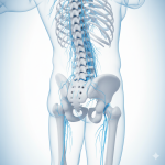 A Dor na Coluna: Entenda as Causas, Sintomas e Como Prevenir